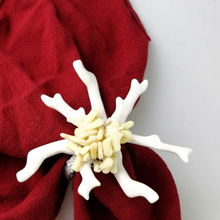 Load image into Gallery viewer, Wedding Decoration, white coral napkin rings, tropical table decor, tropical napkin rings, Tabletop Decor, Party Wedding Set, party, Ornament Table Setting, Napkin Rings Wholesale, Napkin Ring Buckles, napkin decor, Holiday Napkin Ring, Holiday Napkin Holder, Dinner Table Rings, Dinner Table Decor, Decorative Serviette Ring, Decoration for Wedding, coral napkin rings, coral, colorful napkin rings, beach table decor, beach set up, beach napkin rings, beach decoration, nautical napkin rings, coastal decor
